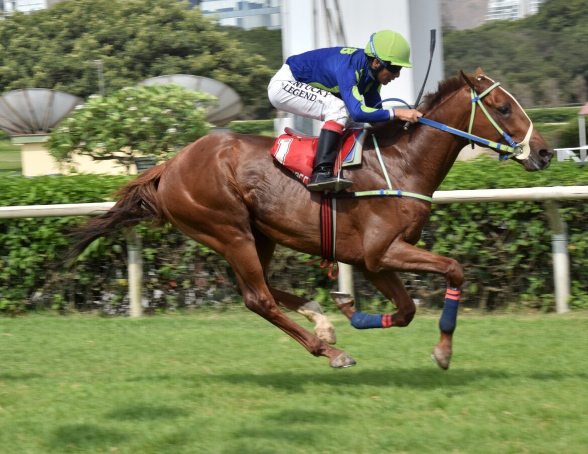Zucchini, de punta a punta, encabeza 1-2 del HRF