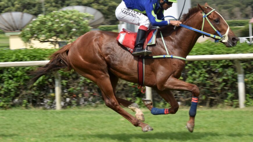 Zucchini, de punta a punta, encabeza 1-2 del HRF