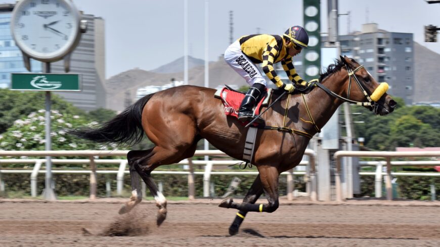 De un viaje, Chin Chin logró su segundo triunfo