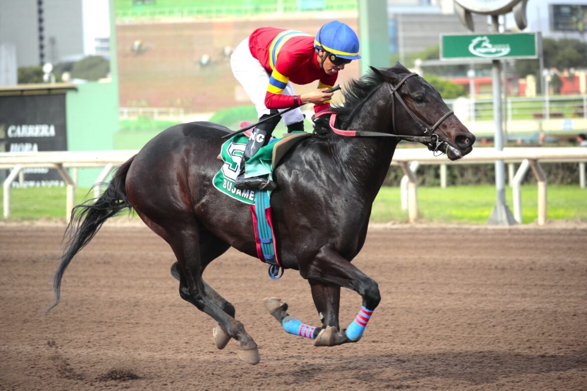 Primer ganador para Super Nao: Bujamero ganó el Cl. El Estreno