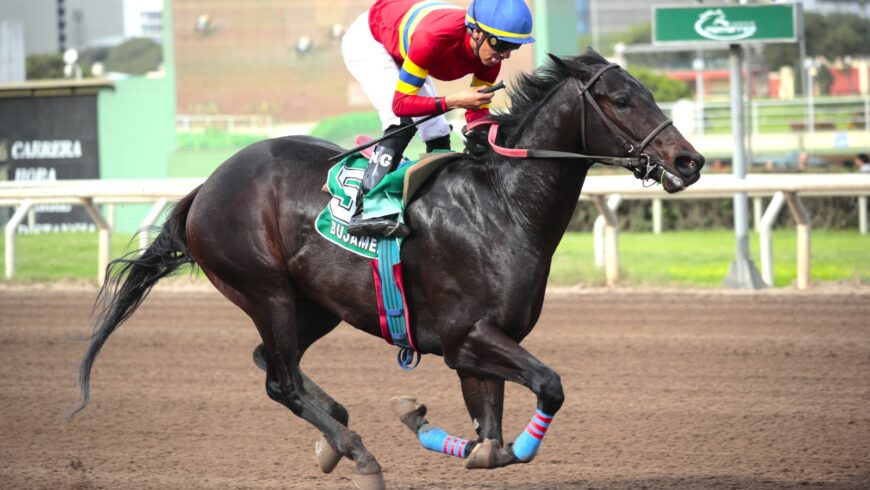 Primer ganador para Super Nao: Bujamero ganó el Cl. El Estreno