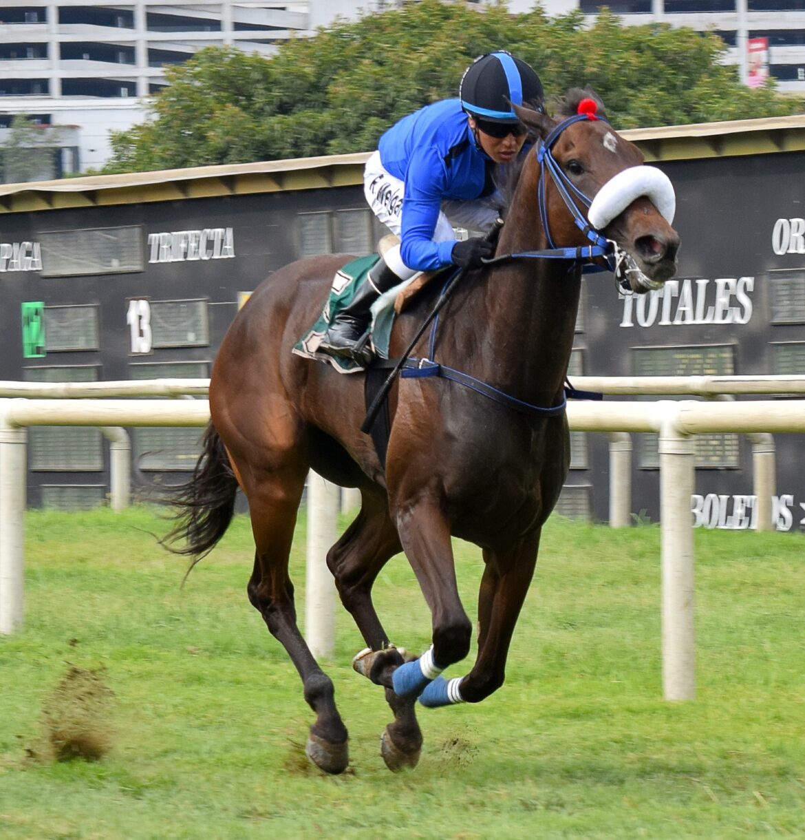 Preakness siguió progresando y alcanzó segundo triunfo