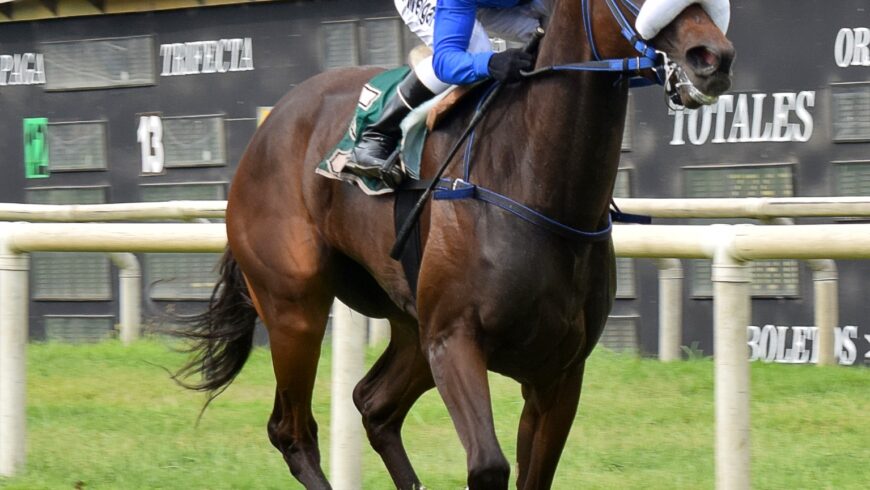 Preakness siguió progresando y alcanzó segundo triunfo