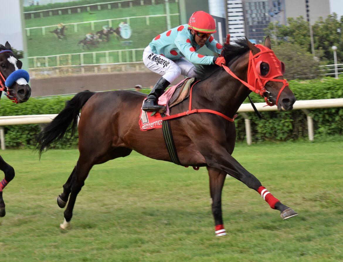 Testimonio volvió a ganar y se va consolidando en el césped