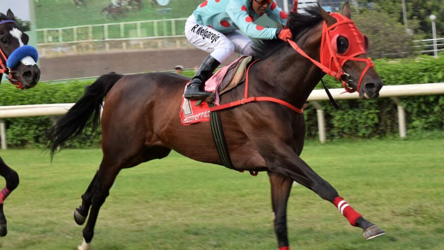 Testimonio volvió a ganar y se va consolidando en el césped