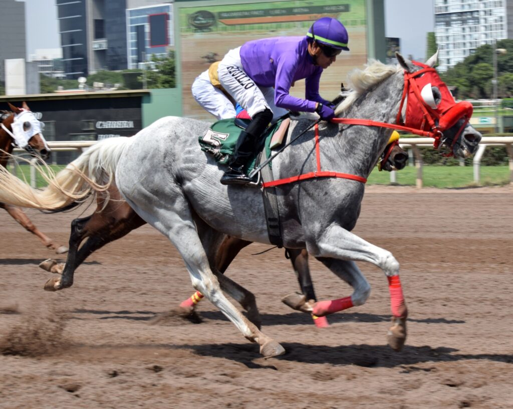 Asfaloth llegó a los 25 triunfos