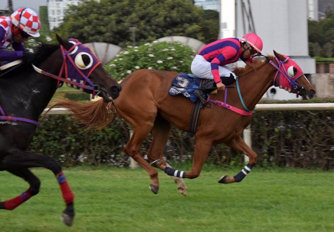 Aguerrida y otro cría ganadora para Singe The Turf