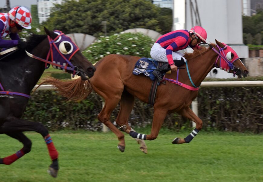 Aguerrida y otro cría ganadora para Singe The Turf