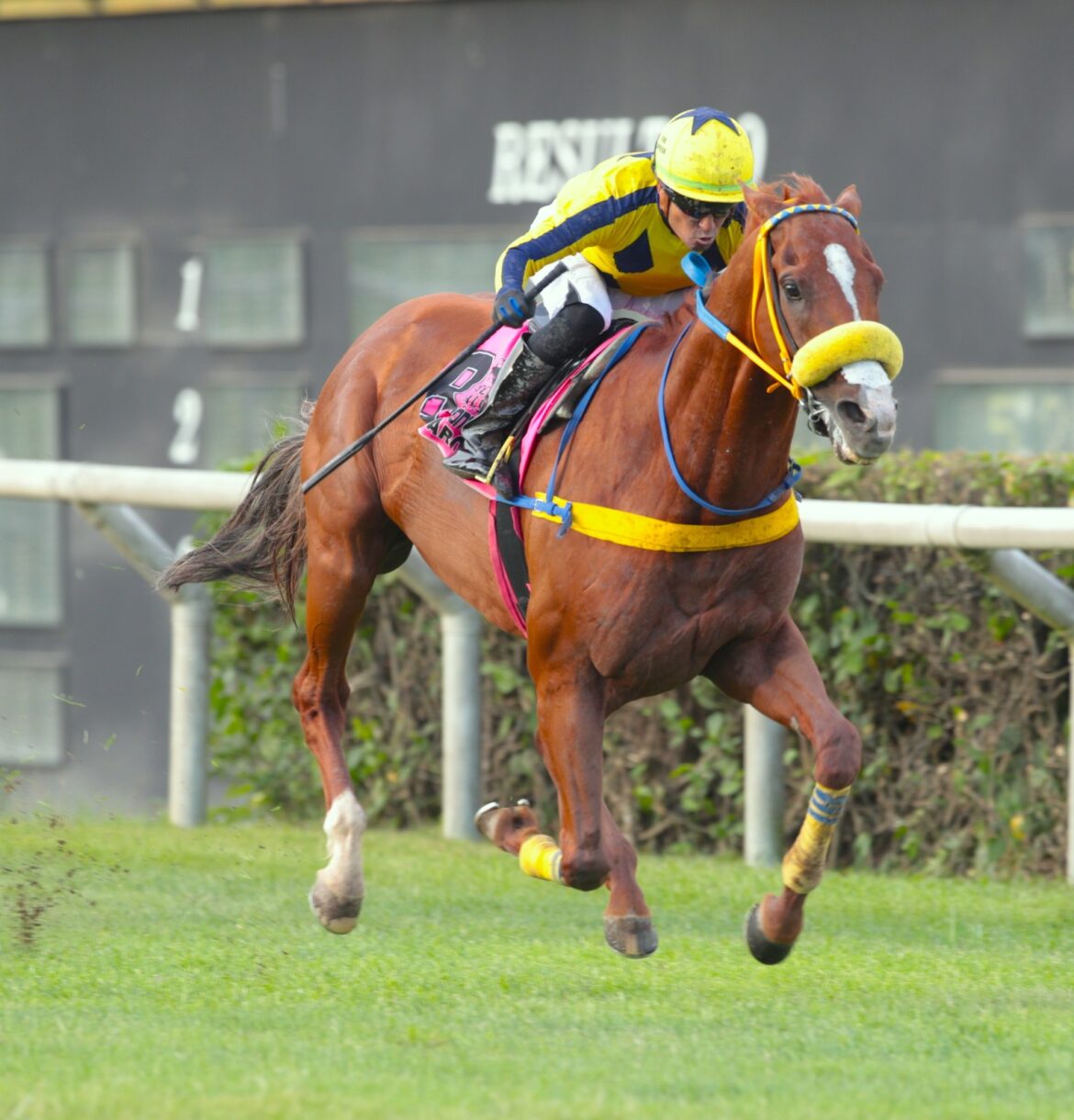 Zuccaro extendió su buen momento: Ganó el Clásico Vaduz
