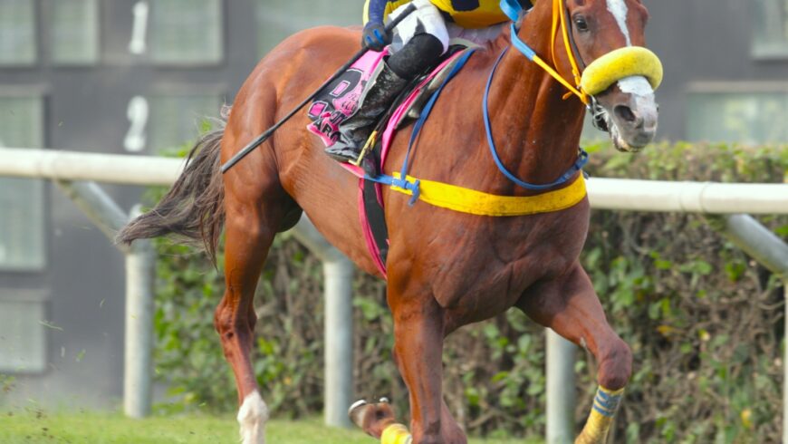 Zuccaro extendió su buen momento: Ganó el Clásico Vaduz