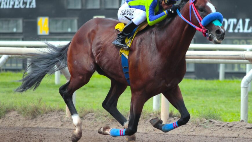 Agnar al galope en nueva victoria sobre la milla