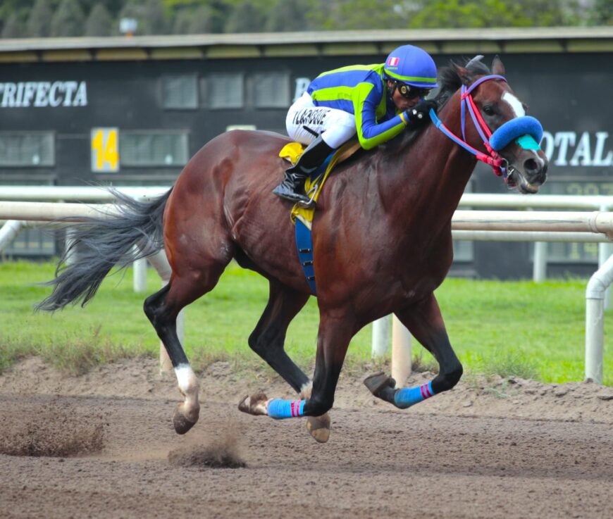 Agnar al galope en nueva victoria sobre la milla