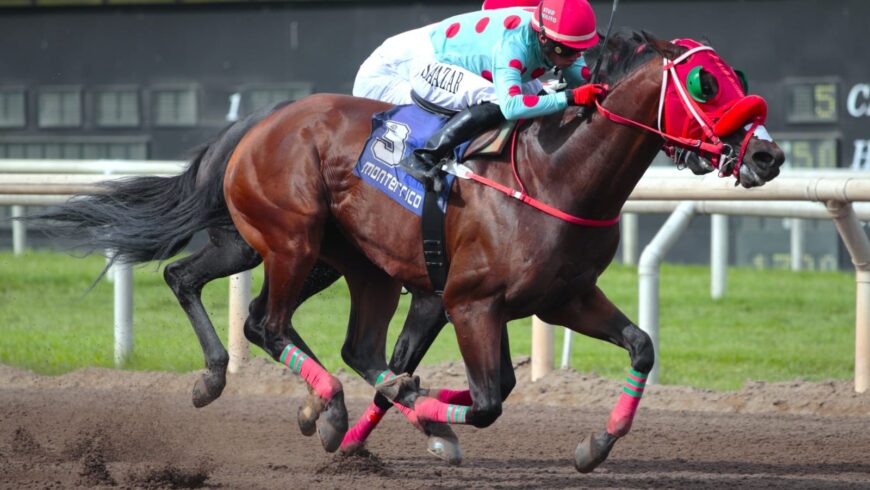 Embalado regresó a la condicional y venció en emocionante llegada