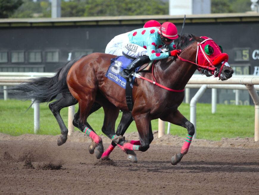 Embalado regresó a la condicional y venció en emocionante llegada