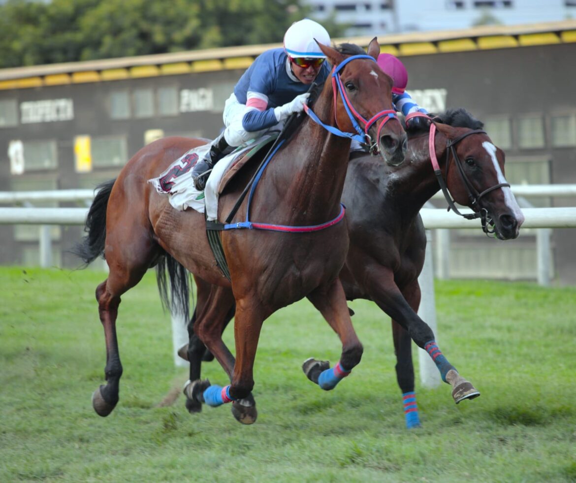 Nuevo quintuplete del Haras Rancho Fátima