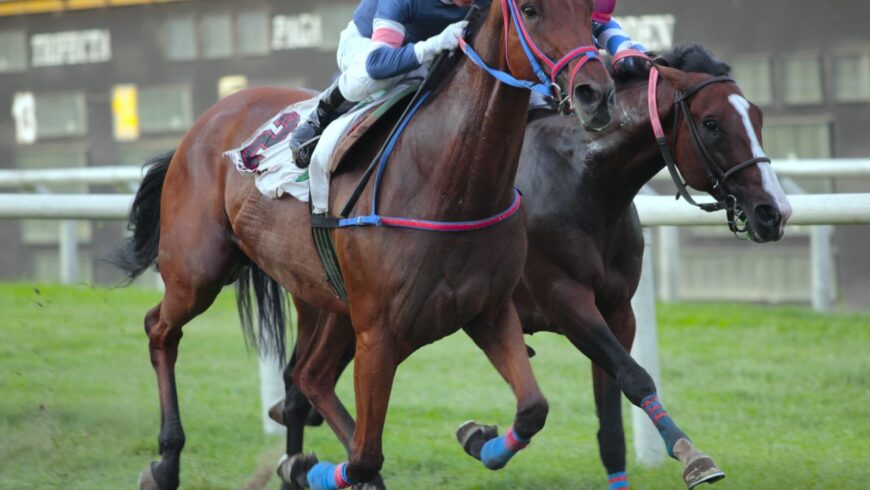 Nuevo quintuplete del Haras Rancho Fátima