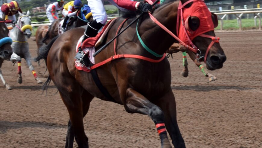 Techno Viking se siguió superando y alcanzó su primer éxito