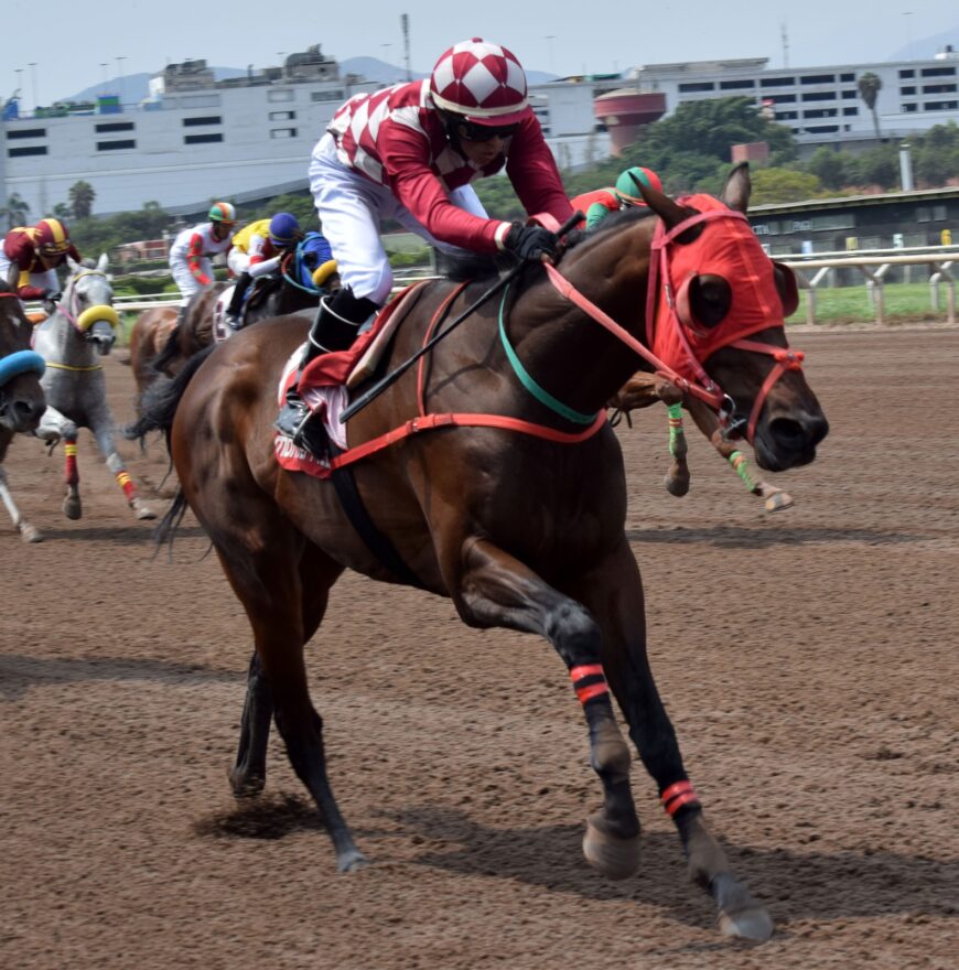Techno Viking se siguió superando y alcanzó su primer éxito