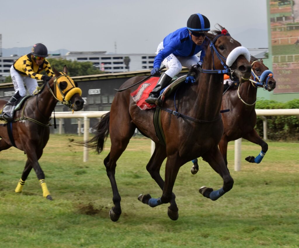 Preakness, valiente, repitió el triunfo anterior