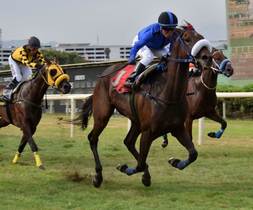 Preakness, valiente, repitió el triunfo anterior