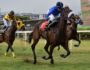 Preakness, valiente, repitió el triunfo anterior