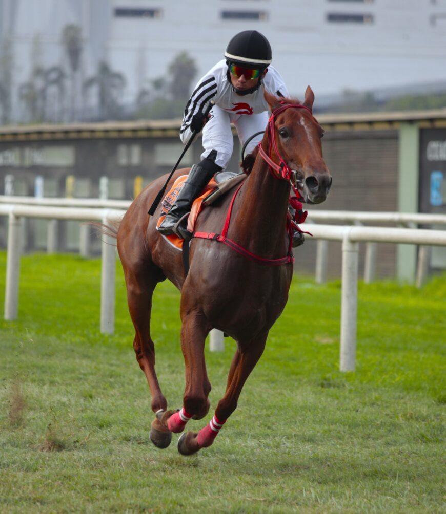 Suemy encabezó la exacta de Singe The Turf en el Cl. Socios Vitalicios del JCP