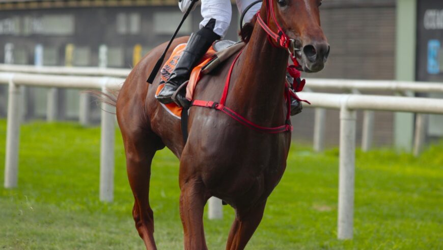 Suemy encabezó la exacta de Singe The Turf en el Cl. Socios Vitalicios del JCP