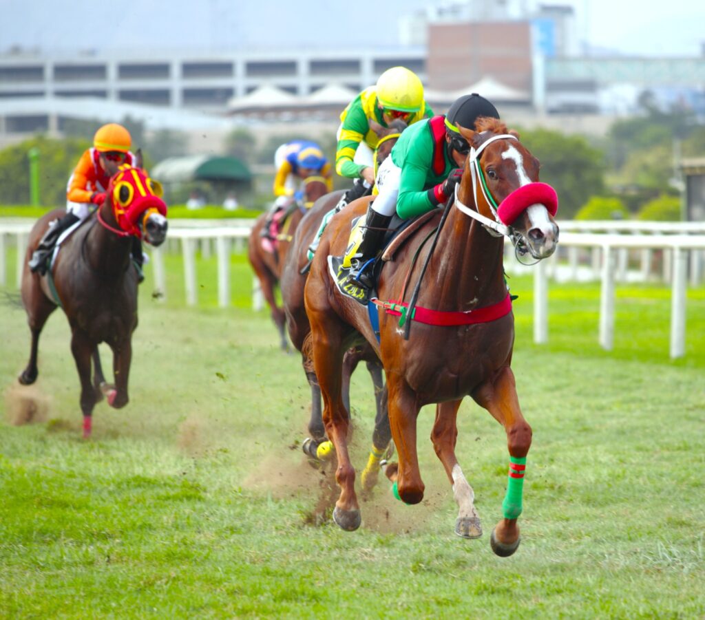 Lola Lola en doblete clásico de Singe The Turf y otra exacta del HRF