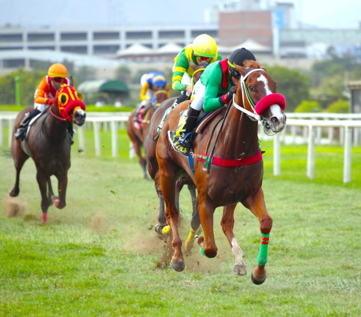 Lola Lola en doblete clásico de Singe The Turf y otra exacta del HRF