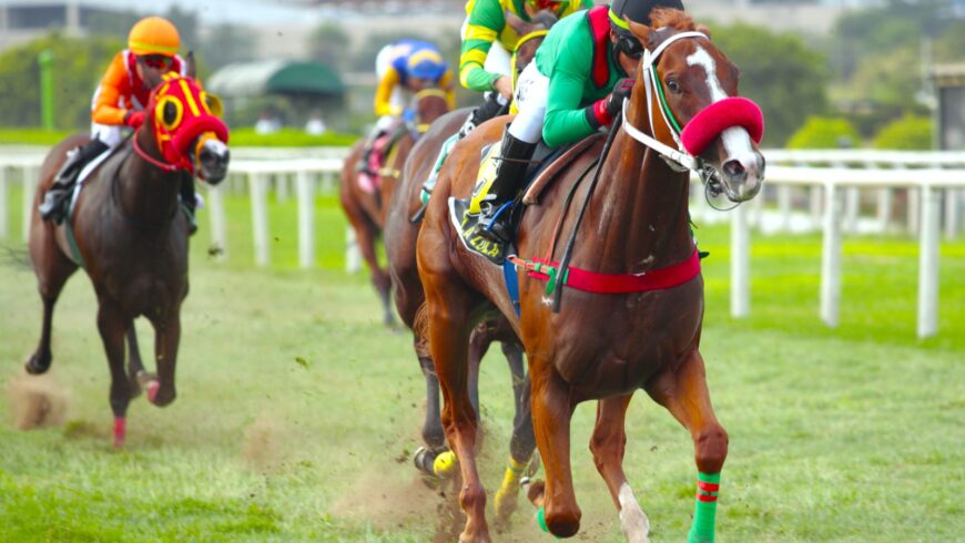 Lola Lola en doblete clásico de Singe The Turf y otra exacta del HRF