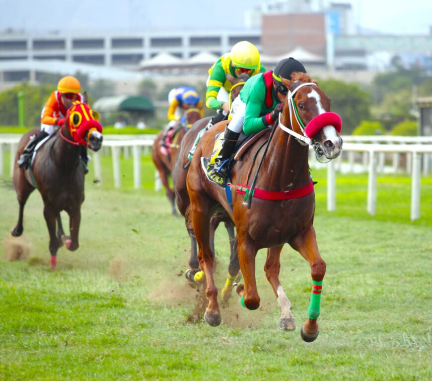 Lola Lola en doblete clásico de Singe The Turf y otra exacta del HRF