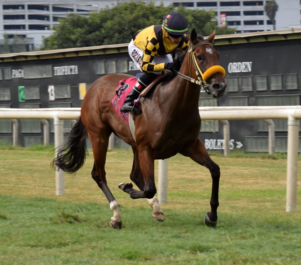 Mi Locura ganó de un viaje y mostró solidez en la grama