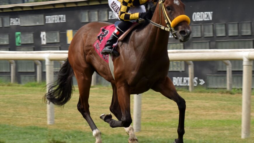 Mi Locura ganó de un viaje y mostró solidez en la grama