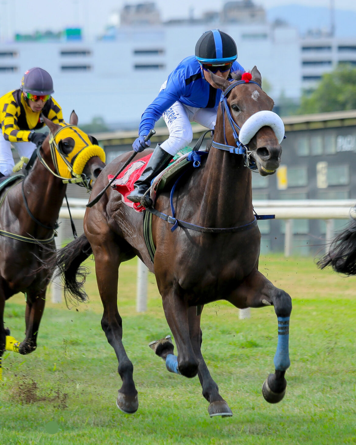 Preakness, valiente, repitió el triunfo anterior