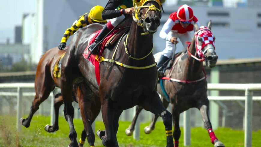 Nuevo quintuplete del HRF, con tres victorias incluidas de Singe The Turf