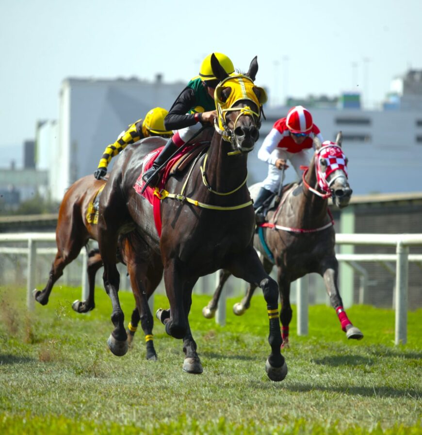 Nuevo quintuplete del HRF, con tres victorias incluidas de Singe The Turf