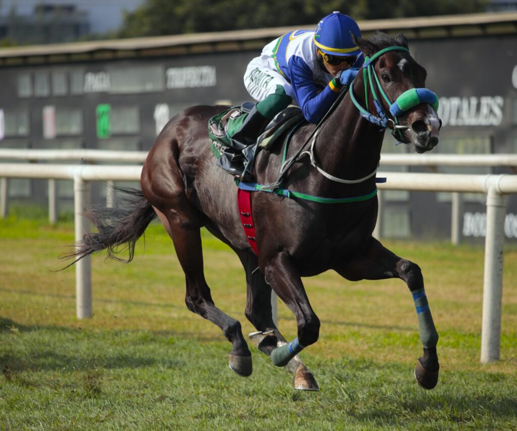 Tintarella Di Luna se luce en el césped con debut ganador