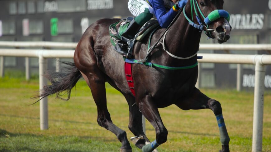 Tintarella Di Luna se luce en el césped con debut ganador