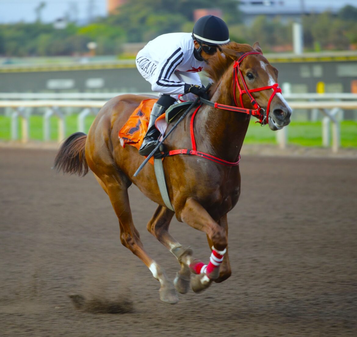 Ceferino retornó en gran forma y mantuvo el invicto