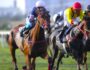 Nuevo sextuplete para el Haras Rancho Fátima