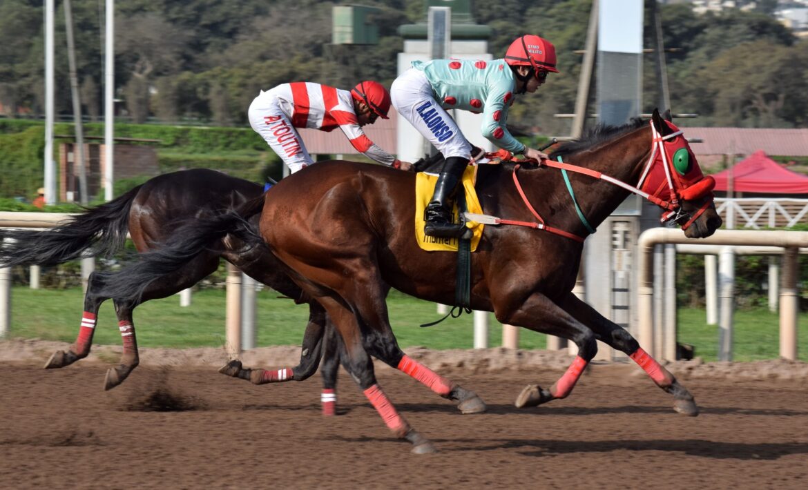Embalado porfió por afuera y ganó su cuarta carrera