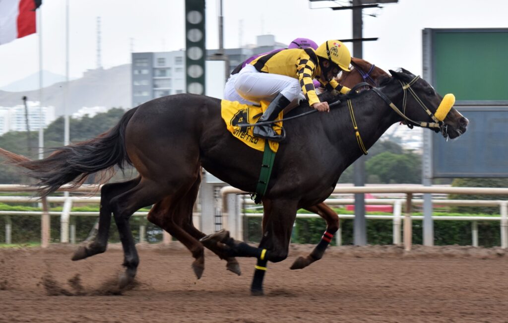 Mayu, valiente en el final para sellar su primera victoria