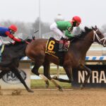 Untreated-NYRA