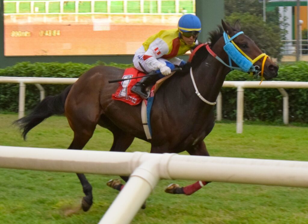 Llyli Nao peleó desde el inicio y logró su primer triunfo